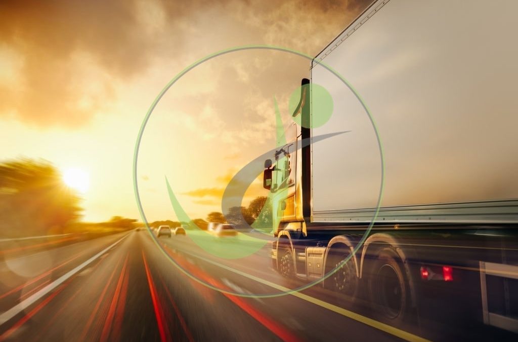 اطلاعات دقیق در خصوص کامیون های حمل جاده ای
